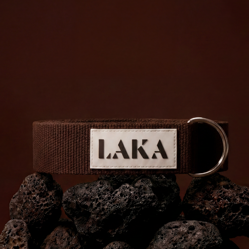 LAKA® Mobility Strap