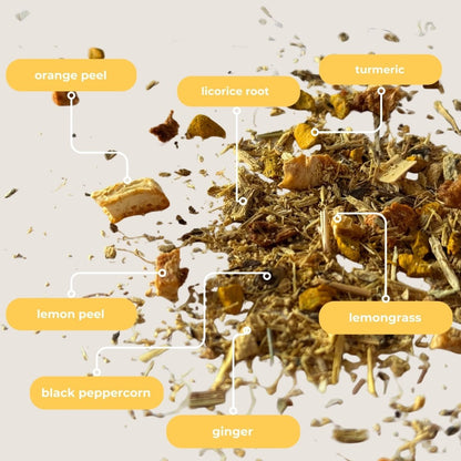 Turmeric Ginger Mini Tea Tube (5 tea bags)